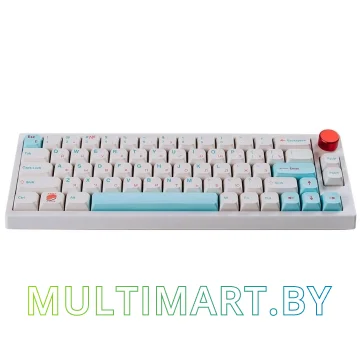 Клавиатура Epomaker TH66 Pro (TH66Pro-WHT-SUS-Budg)
